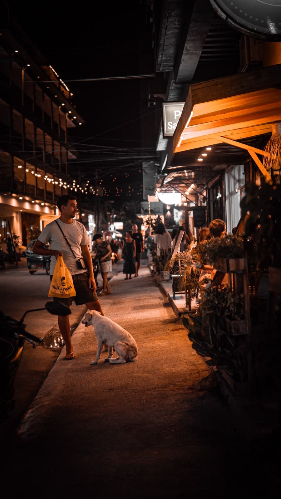 A dog and a passer-by under a night awning