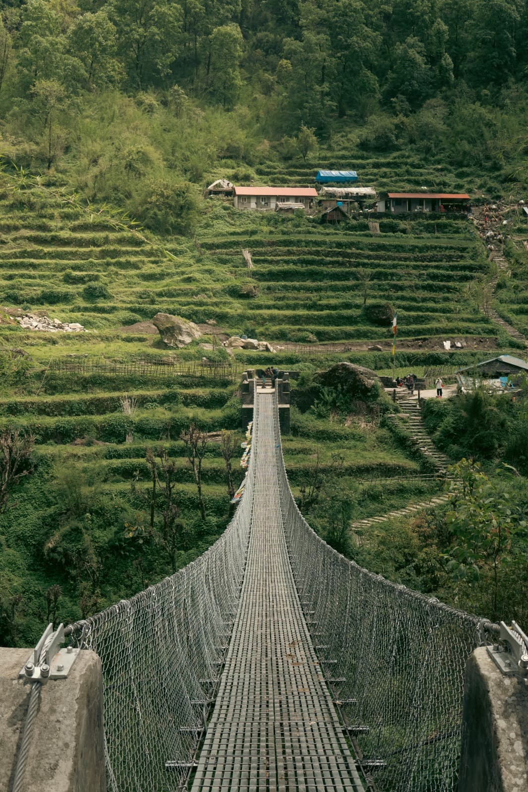 A rope bridge over terraced hills