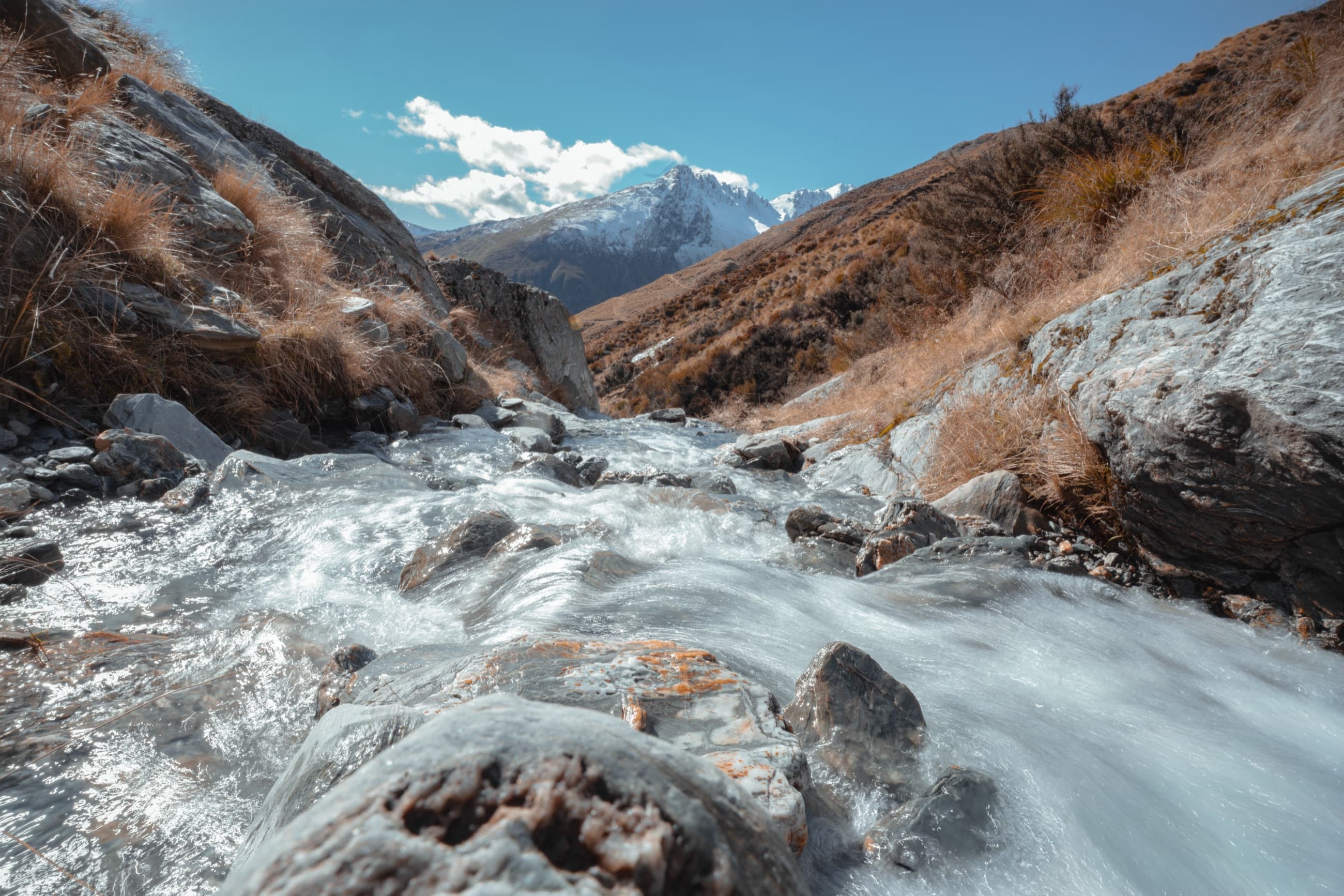 New Zealand landscape