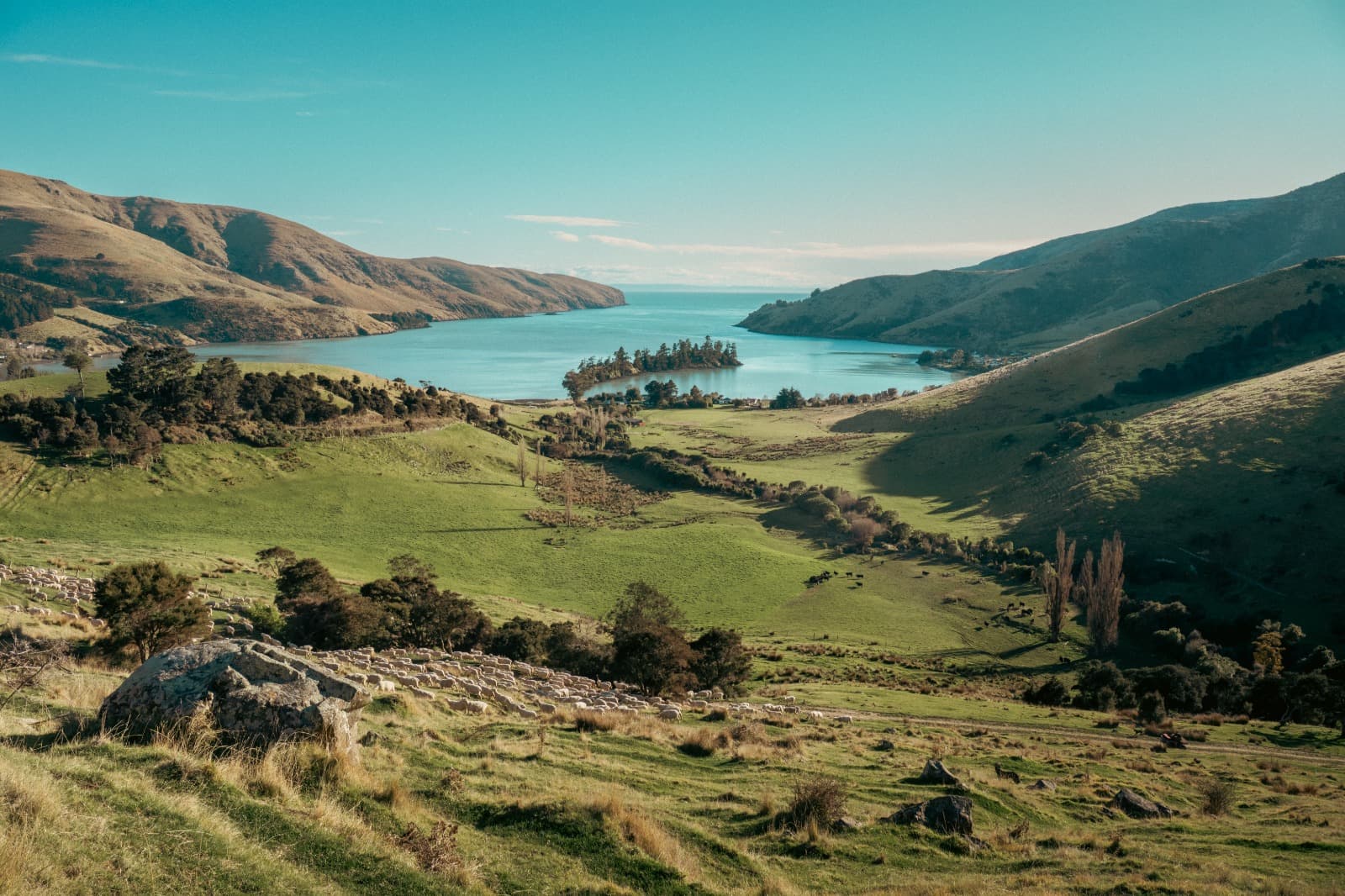 New Zealand landscape