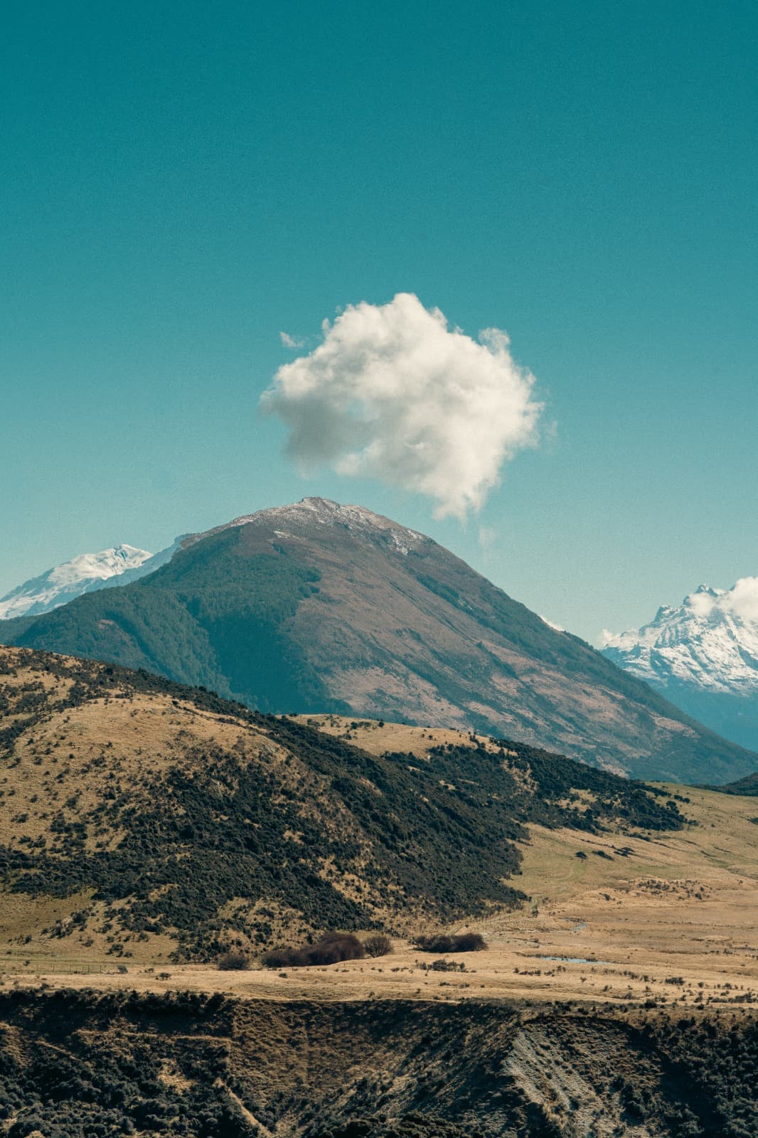 New Zealand landscape